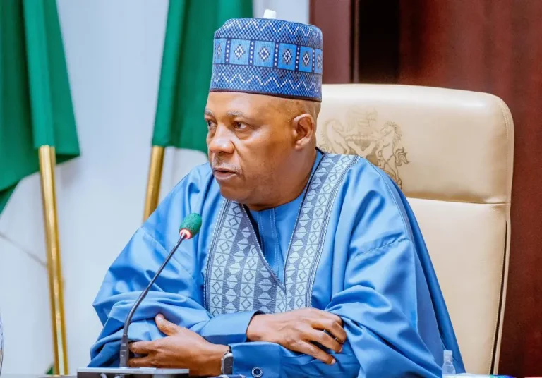 2027: APC Chieftain Warns Replacing Shettima Could Threaten Tinubu’s Reelection