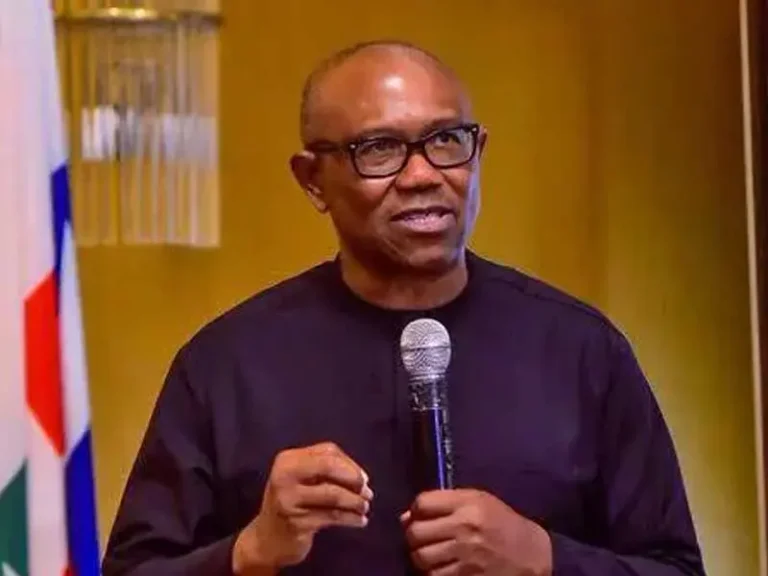 I Will Contest 2027 Election – Peter Obi Assures Nigerians