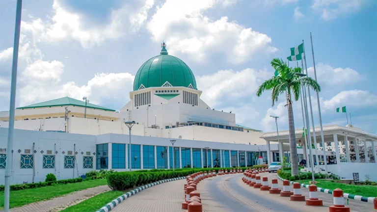 Tinubu Seeks Senate Approval for Taiwo Oyedele as Minister