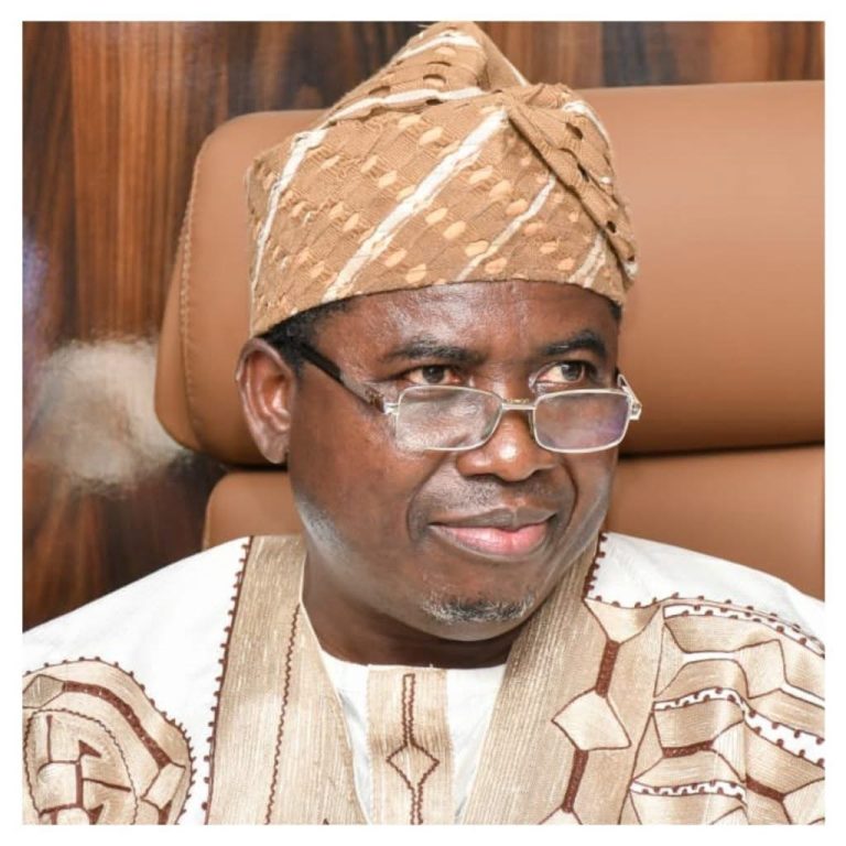 INEC chairman