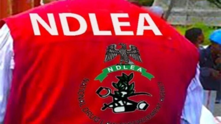 NDLEA