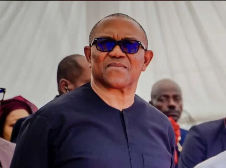 2027: Obidient Movement Alleges INEC Plot Against Peter Obi’s Presidential Bid