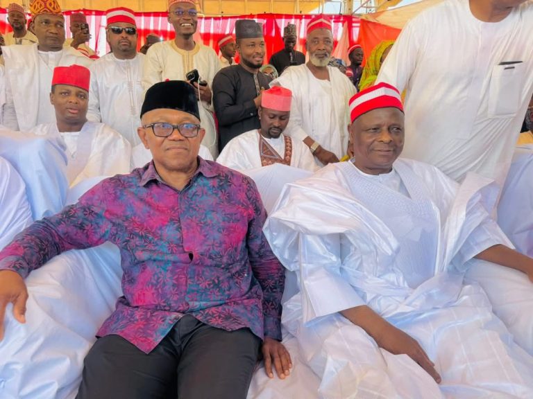 ADC Race: Peter Obi, Rabiu Kwankwaso court Northern bloc to outflank Atiku Abubakar
