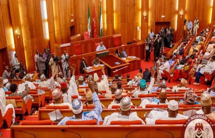 Senate-Nigeria-2