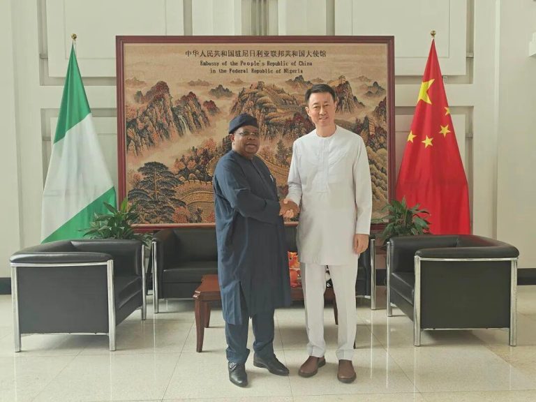 Nigeria-seeks-partnership-with-China-on-power-infrastructure