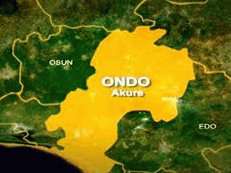 APC Aspirant Demands Fresh Ondo Reps Primary, Says There Was No Election